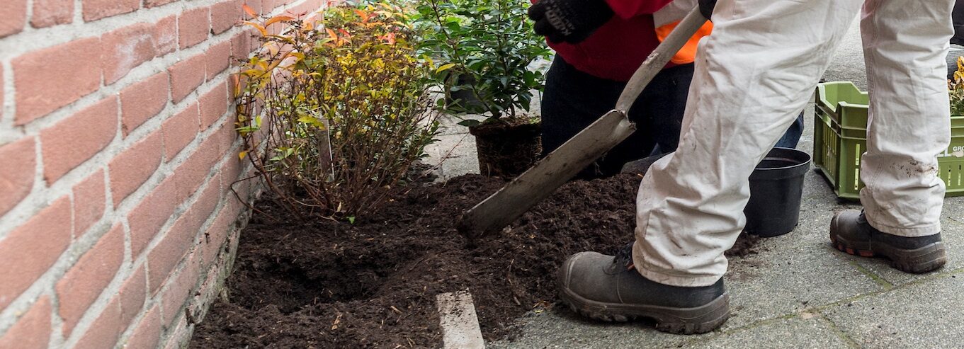 Gratis geveltuin aanvragen?